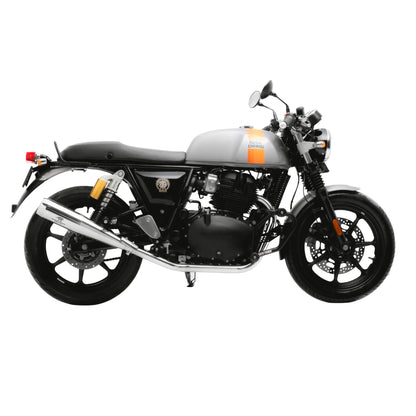 RED ROOSTER STELLAR - POLISH