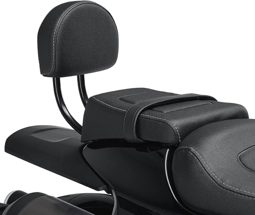 PILLION BACKREST FOR HARLEY DAVIDSON SPORTSTER S 1250